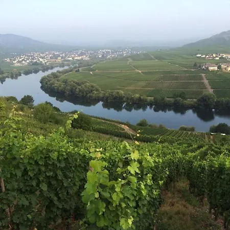 Prázdninový dům Moselschoen Comfortable Brodenbach